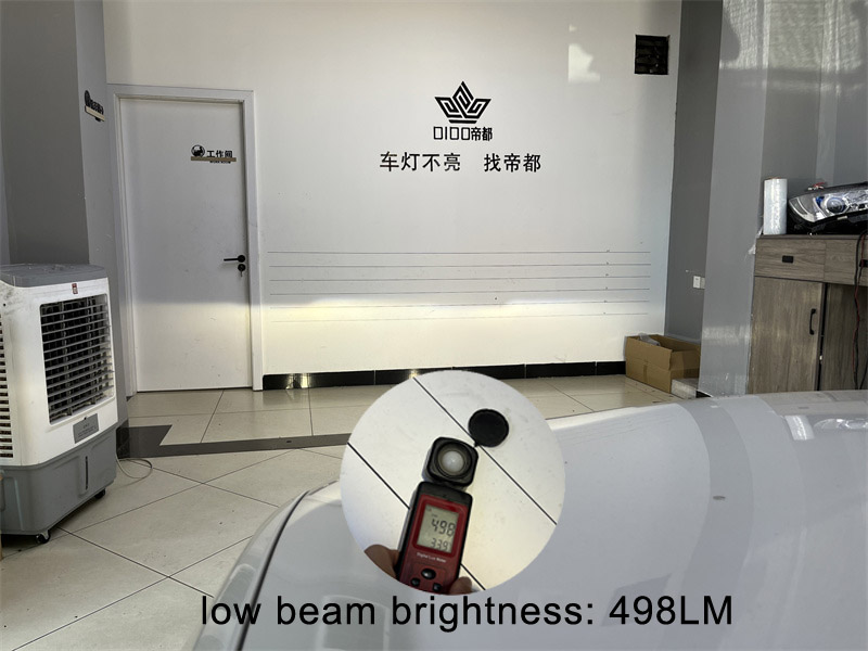 BMW xenon headlight low beam